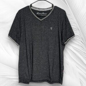 Lion’s Crest Men’s V-Neck T-Shirt Gray Size L Short Sleeve